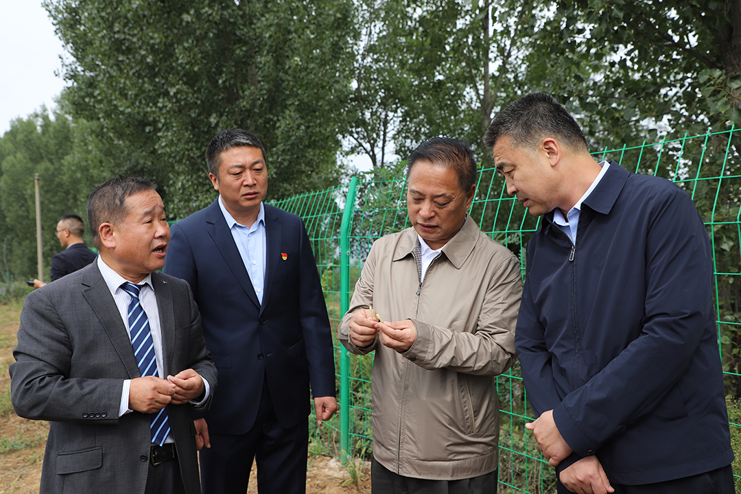 修悔改8.jpg